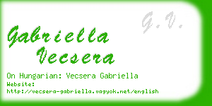 gabriella vecsera business card